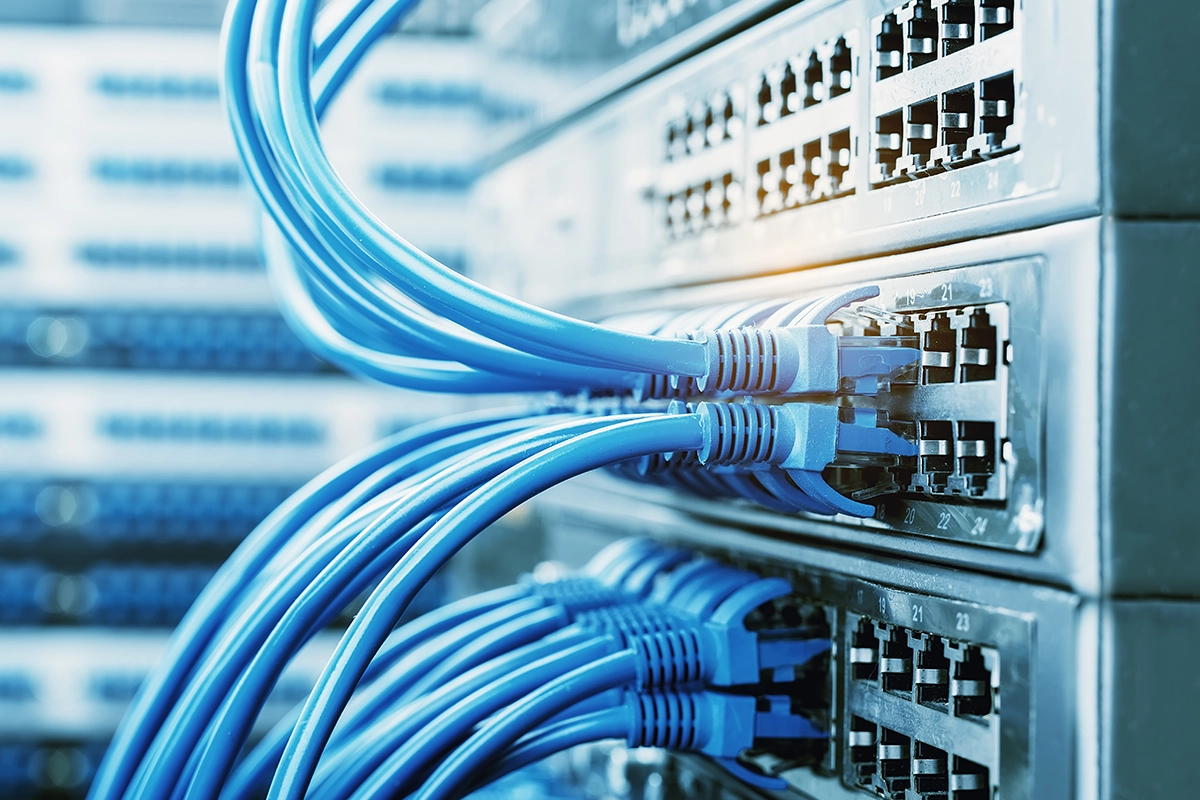 Lan cables going into back of servers